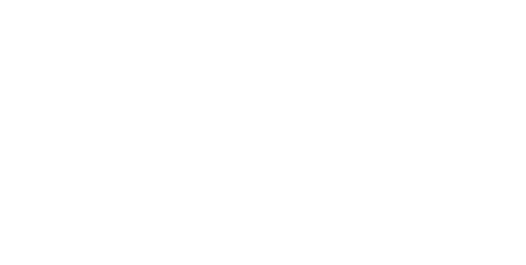 Reno Masters LLC
